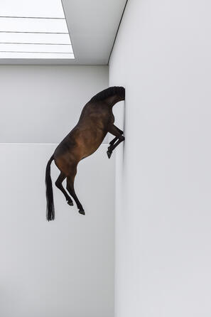 Installation view, Untitled by Maurizio Cattelan